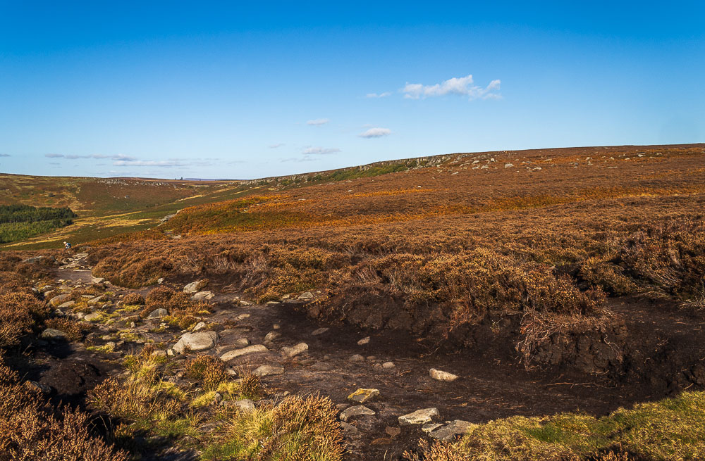 Burbage Rocks